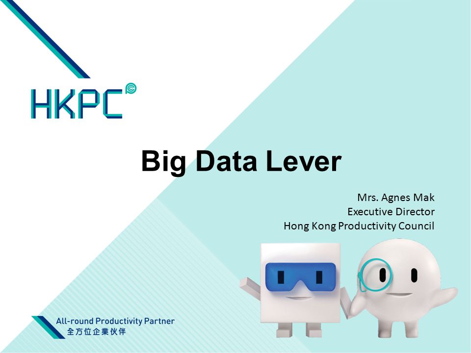 Big Data Lever Mrs. Agnes Mak Executive Director Hong Kong Productivity  Council. - ppt download