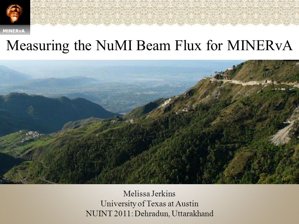 Measuring the NuMI Beam Flux for MINERvA Melissa Jerkins University of  Texas at Austin NUINT 2011: Dehradun, Uttarakhand. - ppt download