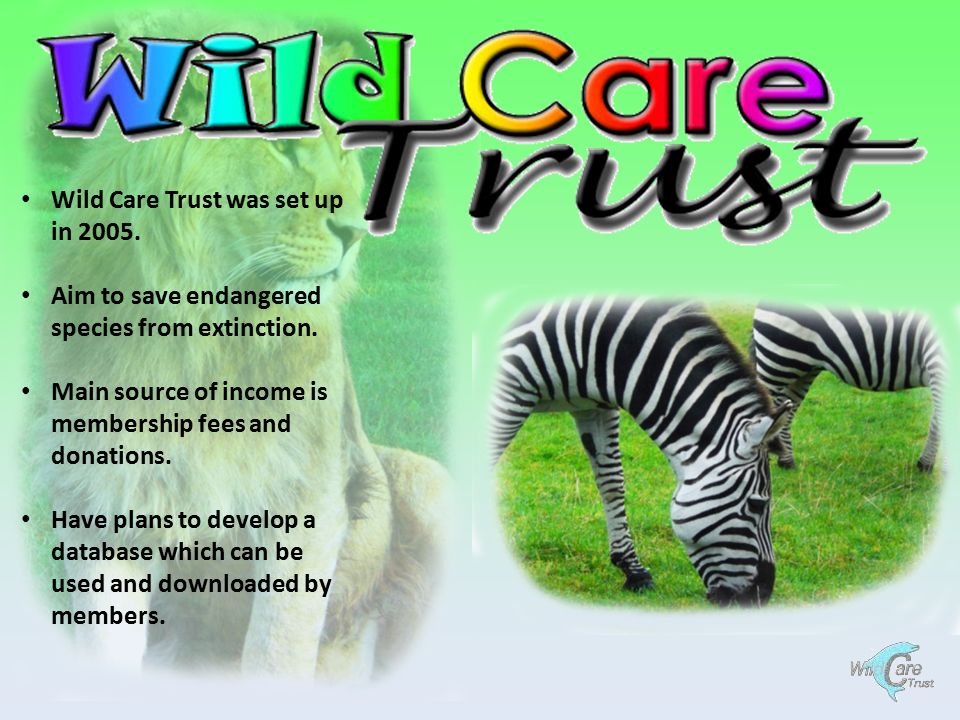 Wild Care Trust was set up in Aim to save endangered species from extinction.  Main source of income is membership fees and donations. Have plans. - ppt  download