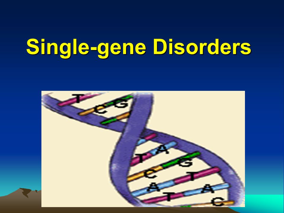 Single-gene Disorders. Classification of genetic disorders  Single-gene  disorders (2%)  Chromosome disorders (<1%)  Multifactorial disorders  (60%) - ppt download
