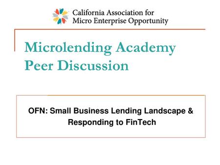 Microlending Academy Peer Discussion