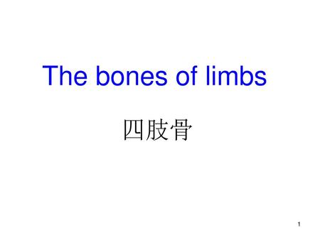 The bones of limbs 四肢骨.