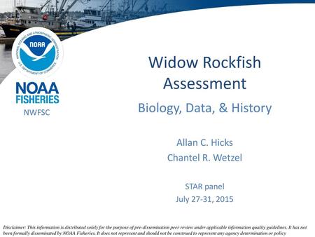 Widow Rockfish Assessment