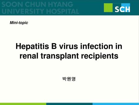 Hepatitis B virus infection in renal transplant recipients