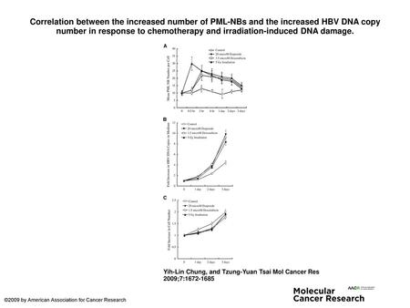 Correlation between the increased number of PML-NBs and the increased HBV DNA copy number in response to chemotherapy and irradiation-induced DNA damage.