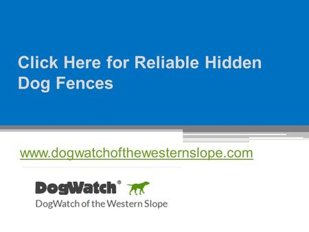 Click Here for Reliable Hidden Dog Fences