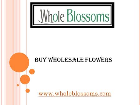 Buy Wholesale Flowers   can be the best place for you to visit when looking to buy wholesale flowers in.