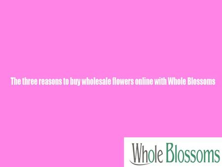 Don’t miss out on buying the smartest wholesale flowers online. Visit  and check out what you can get.
