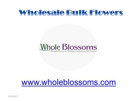 Wholesale Bulk Flowers - wholeblossoms