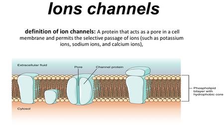 Ions channels definition of ion channels: A protein that acts as a pore in a cell membrane and permits the selective passage of ions (such as potassium.