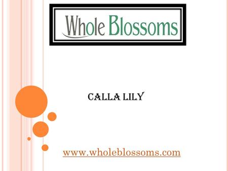 Calla Lily  As one of the best places to get calla lily online,  has managed to carve a niche of its own.