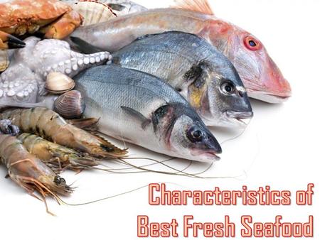 Characteristics of Best Fresh Seafood
