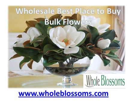 Best Place to Buy Bulk Flowers - www.wholeblossoms.com