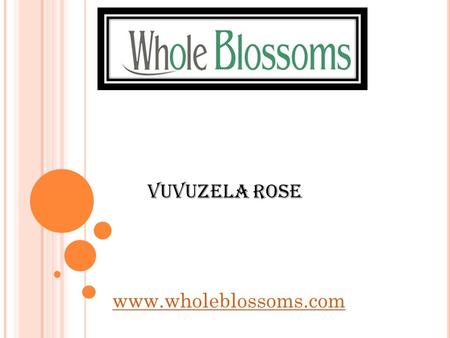 Vuvuzela Rose  From the finest quality of baby’s breath to Vuvuzela rose, there is no flower that you cannot get here at