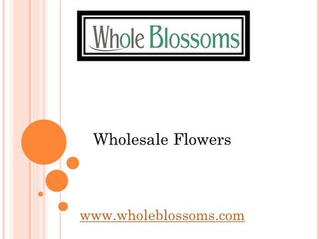 Wholesale Flowers  From lilies to gerberas and more, there is a wide range of wholesale flowers that you can get at Whole Blossoms.