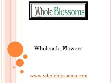Wholesale Flowers  Are you tired of looking for a place to buy wholesale flowers? If yes, then Whole Blossoms is the place you.