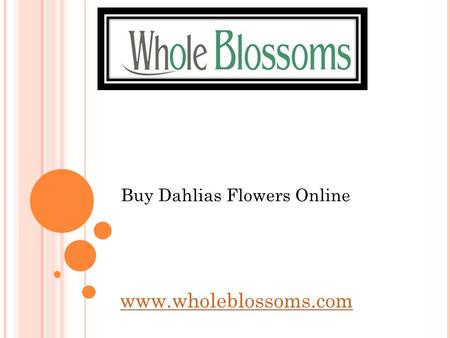 Buy Dahlias Flowers Online