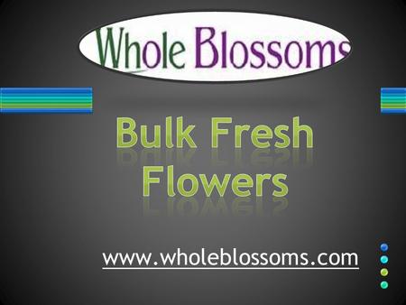 Bulk Fresh Flowers - www.wholeblossoms.com