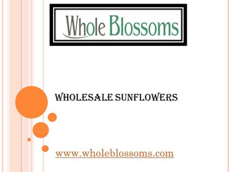Wholesale Sunflowers  If you are on the lookout for a place to get wholesale sunflowers, going to  can.