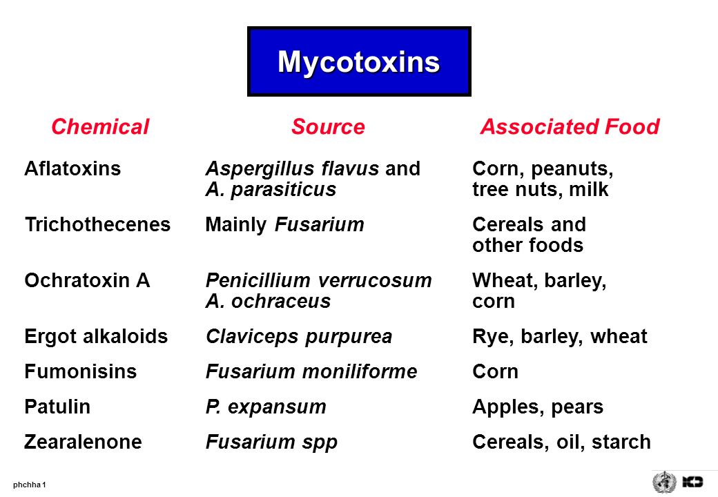 mycotoxins in food ppt)