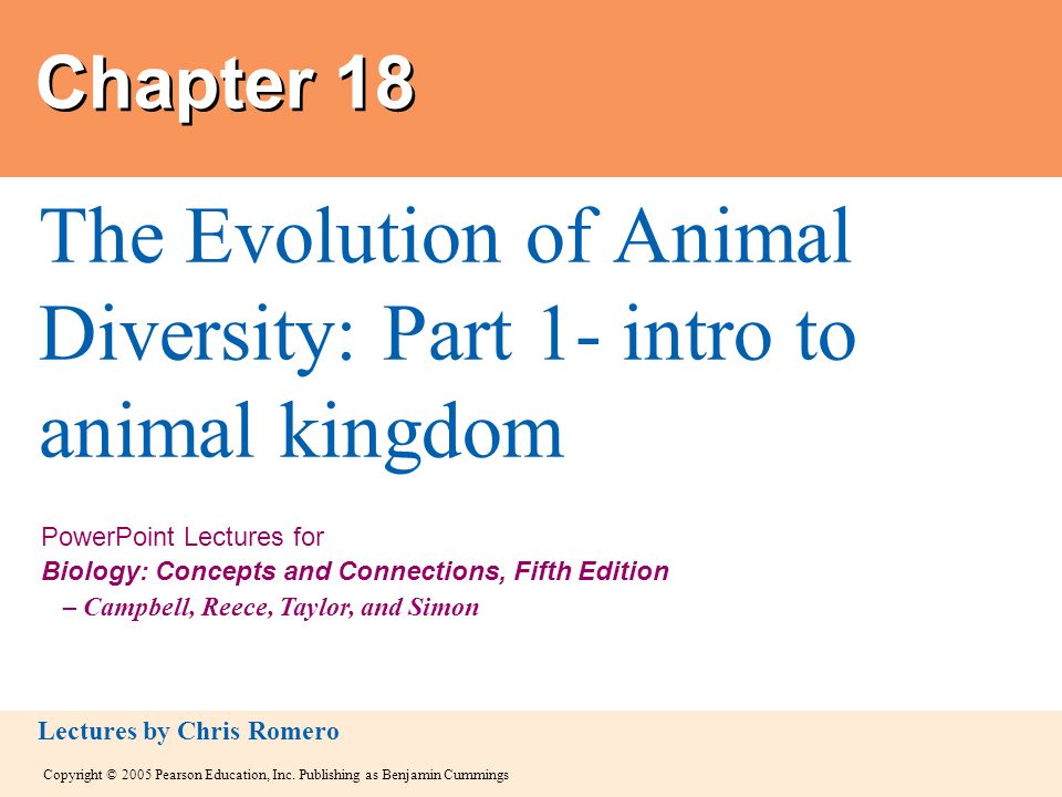 The Evolution of Animal Diversity: Part 1- intro to animal kingdom - ppt  video online download