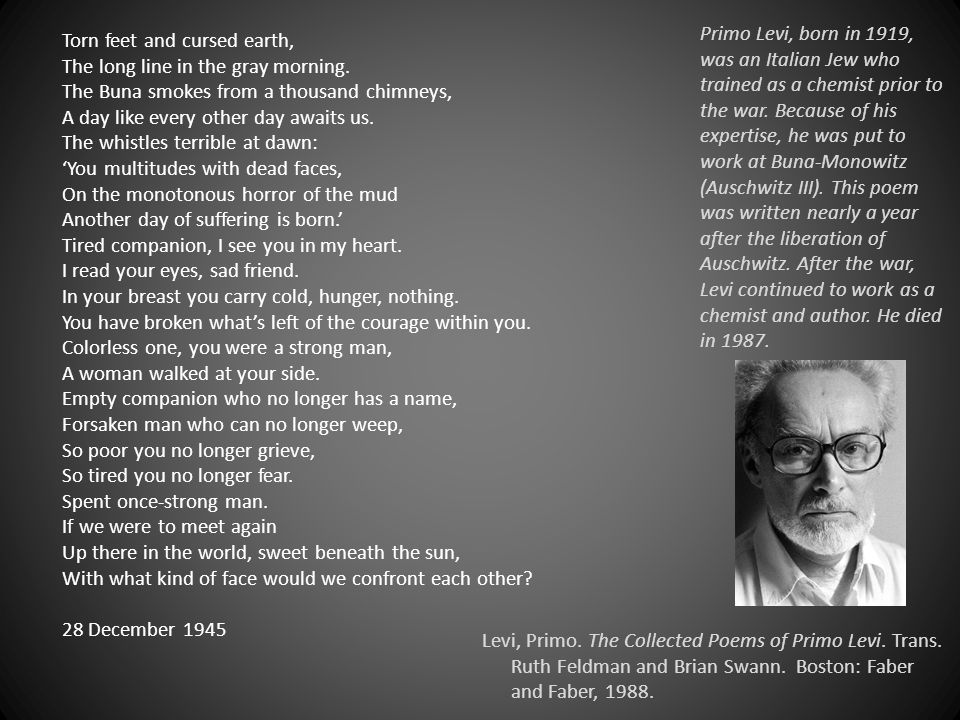 Primo Levi, born in 1919, was an Italian Jew who trained as a chemist prior to the war. Because of his expertise, he was put to work at Buna-Monowitz (Auschwitz. - ppt