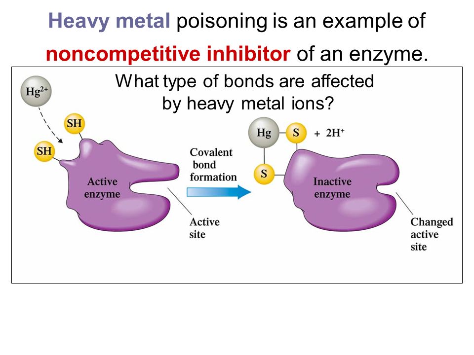 Heavy Metal Poisoning Is An Example Of Noncompetitive Inhibitor Of An Enzyme What Type Of Bonds Are Affected By Heavy Metal Ions Ppt Download