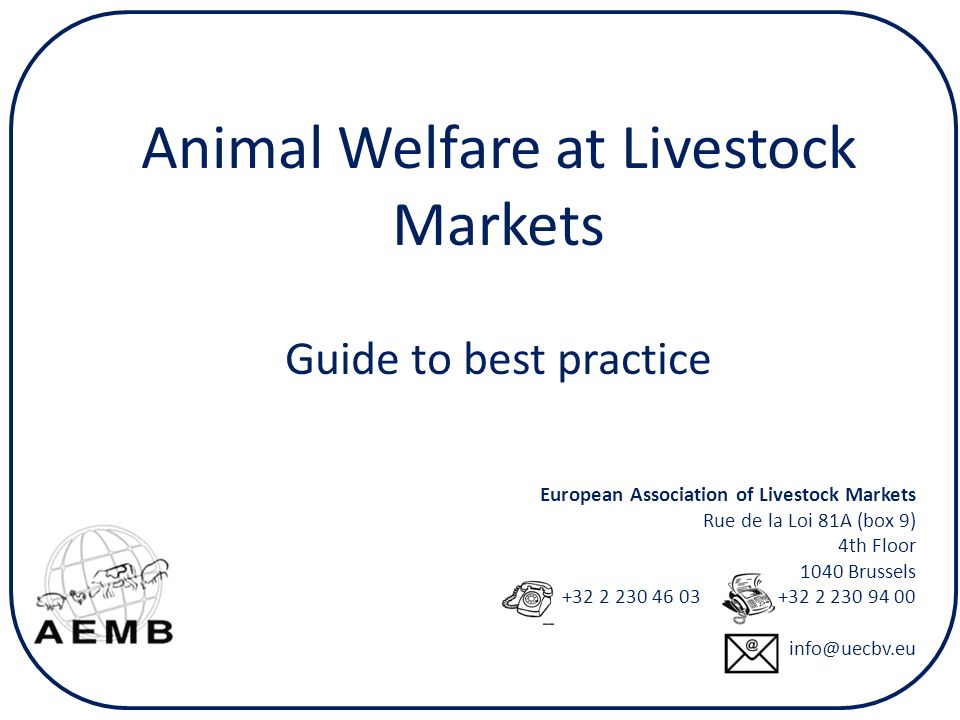 European Association of Livestock Markets Rue de la Loi 81A (box 9) 4th  Floor 1040 Brussels Animal Welfare. - ppt download