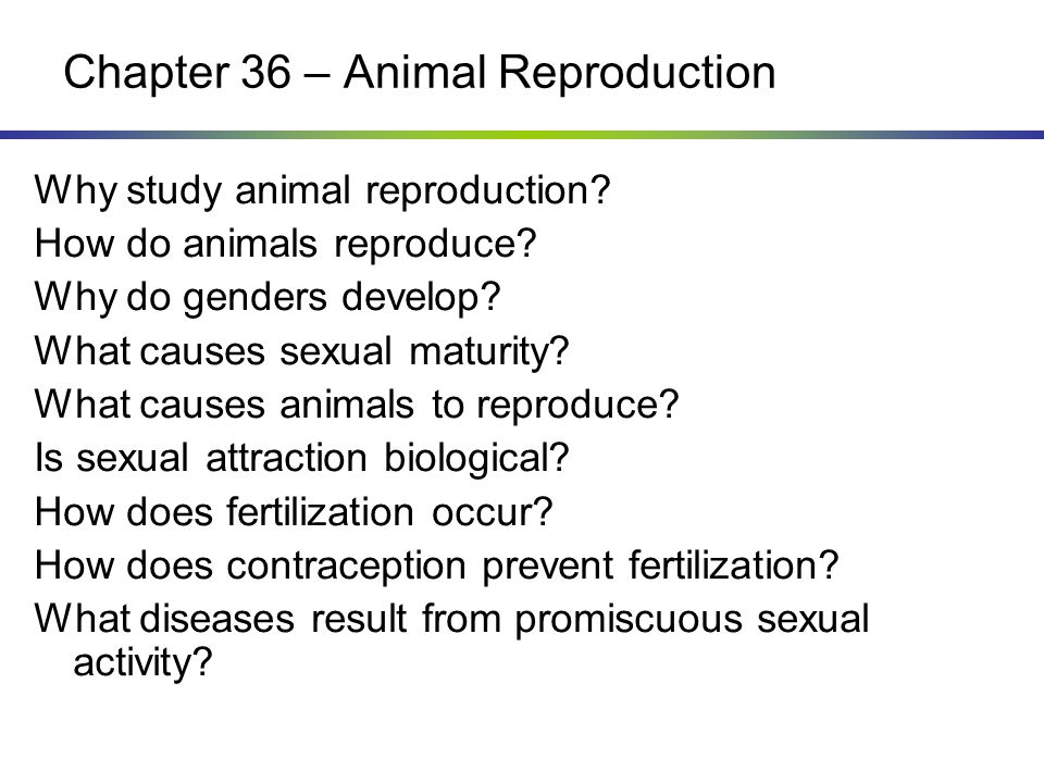 Chapter 36 – Animal Reproduction - ppt video online download Chapter 36 – Animal Reproduction - ppt video online download