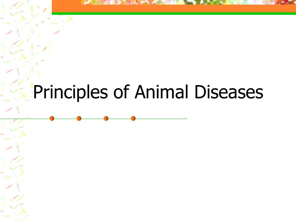 Principles of Animal Diseases - ppt video online download