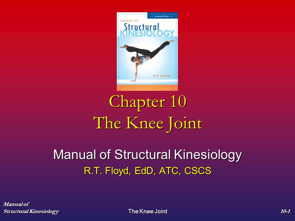 Manual of Structural Kinesiology R.T. Floyd, EdD, ATC, CSCS - ppt video  online download