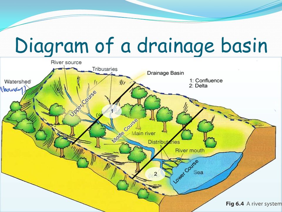 Diagram+of+a+drainage+basin