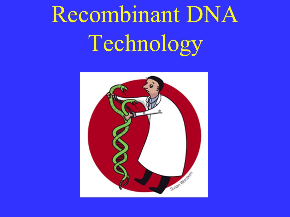Recombinant DNA Technology - ppt download