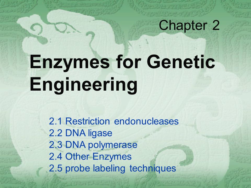 Enzymes For Genetic Engineering Ppt Download