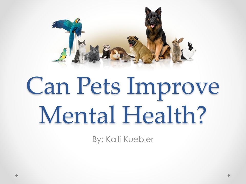 Can Pets Improve Mental Health? By: Kalli Kuebler. - ppt download