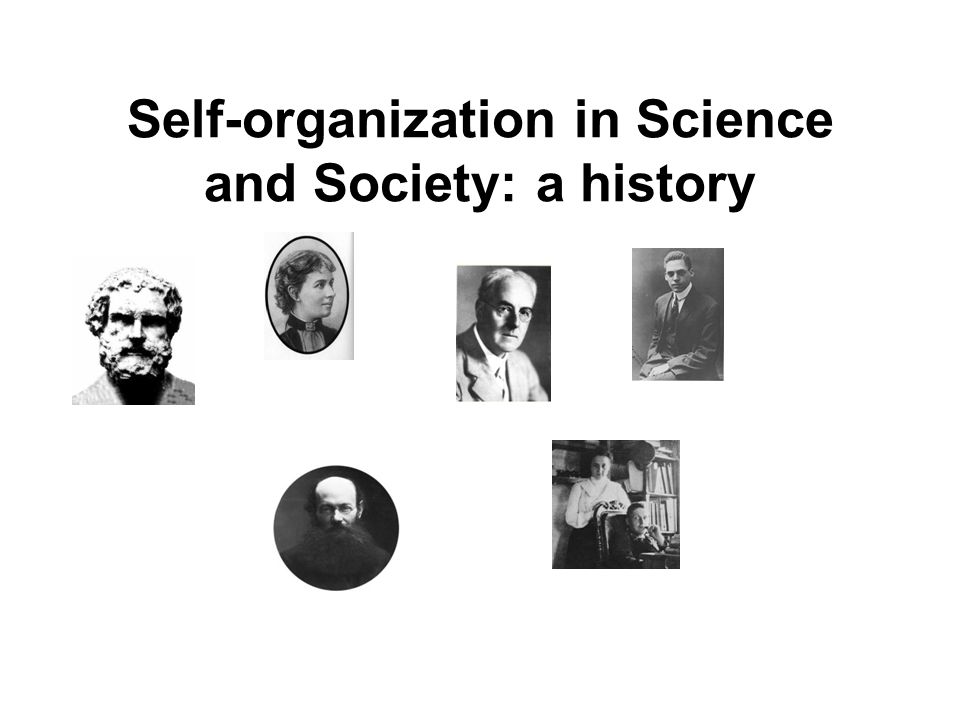 [Springer] Self―organization and society