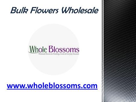 Bulk Flowers Wholesale - www.wholeblossoms.com
