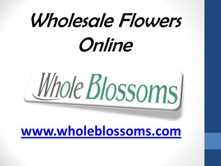 Wholesale Flowers Online - www.wholeblossoms.com 