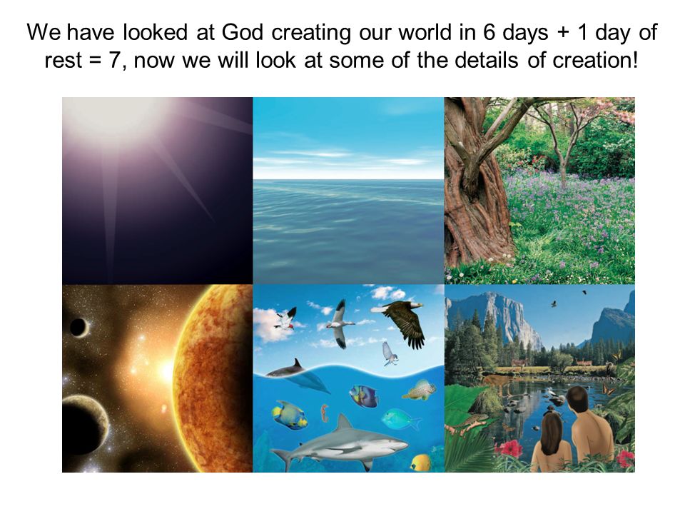We have looked at God creating our world in 6 days + 1 day of rest = 7, now  we will look at some of the details of creation! - ppt video online download