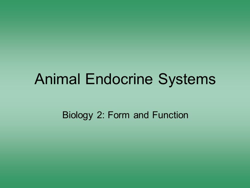 Animal Endocrine Systems Biology 2: Form and Function. - ppt download