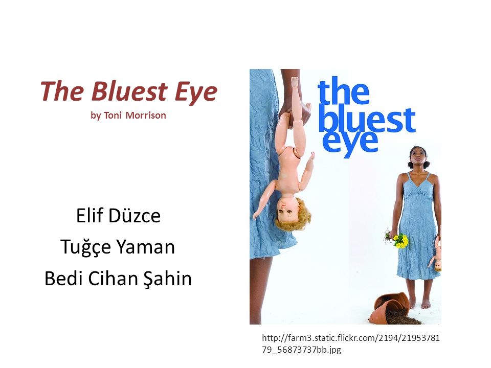 toni morrison the bluest eye toni morrison the bluest eye