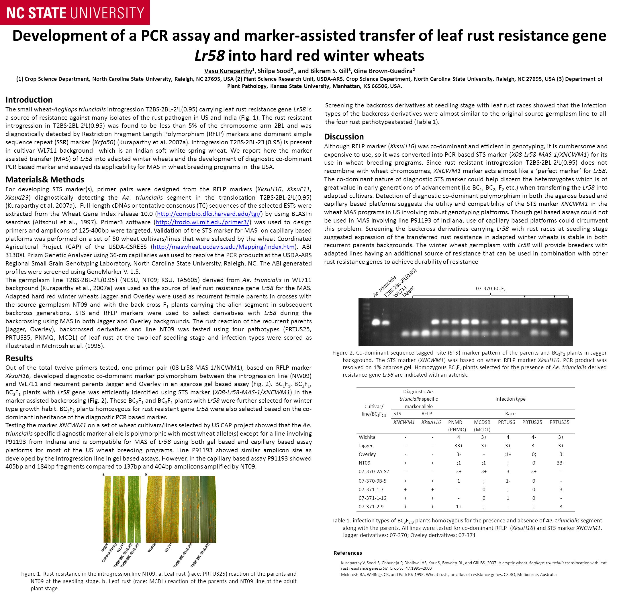 Development Of A Pcr Assay And Marker Assisted Transfer Of Leaf Rust Resistance Gene Lr58 Into Hard Red Winter Wheats Vasu Kuraparthy 1 Shilpa Sood 2 Ppt Download