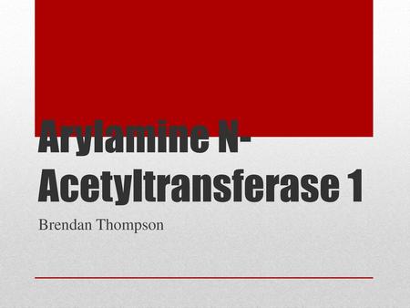 Arylamine N-Acetyltransferase 1