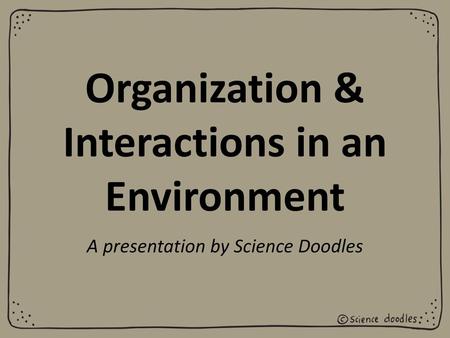 Organization & Interactions in an Environment