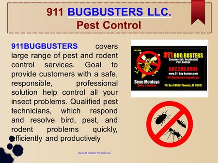 911 BUGBUSTERS LLC. ​ Pest ControlBUGBUSTERS LLC. 911BUGBUSTERS911BUGBUSTERS covers large range of pest and rodent control services. Goal to provide customers.