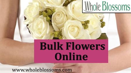 Bulk Flowers Online Bulk Flowers Online