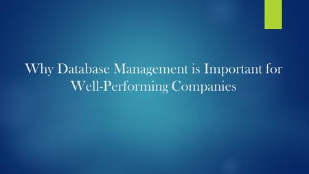 Why Database Management is Important for Well-Performing Companies.
