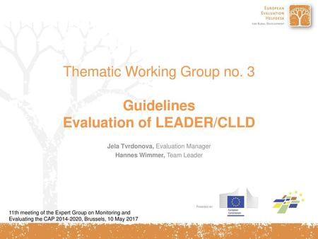 Thematic Working Group no. 3 Guidelines Evaluation of LEADER/CLLD