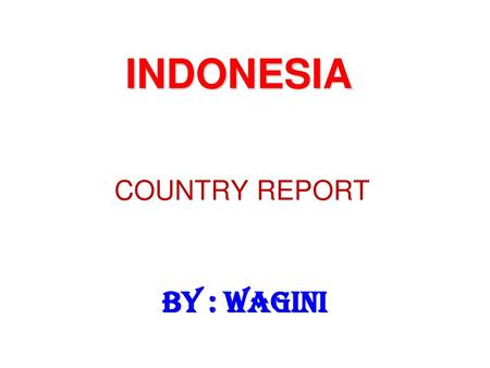 INDONESIA COUNTRY REPORT BY : WAGINI.