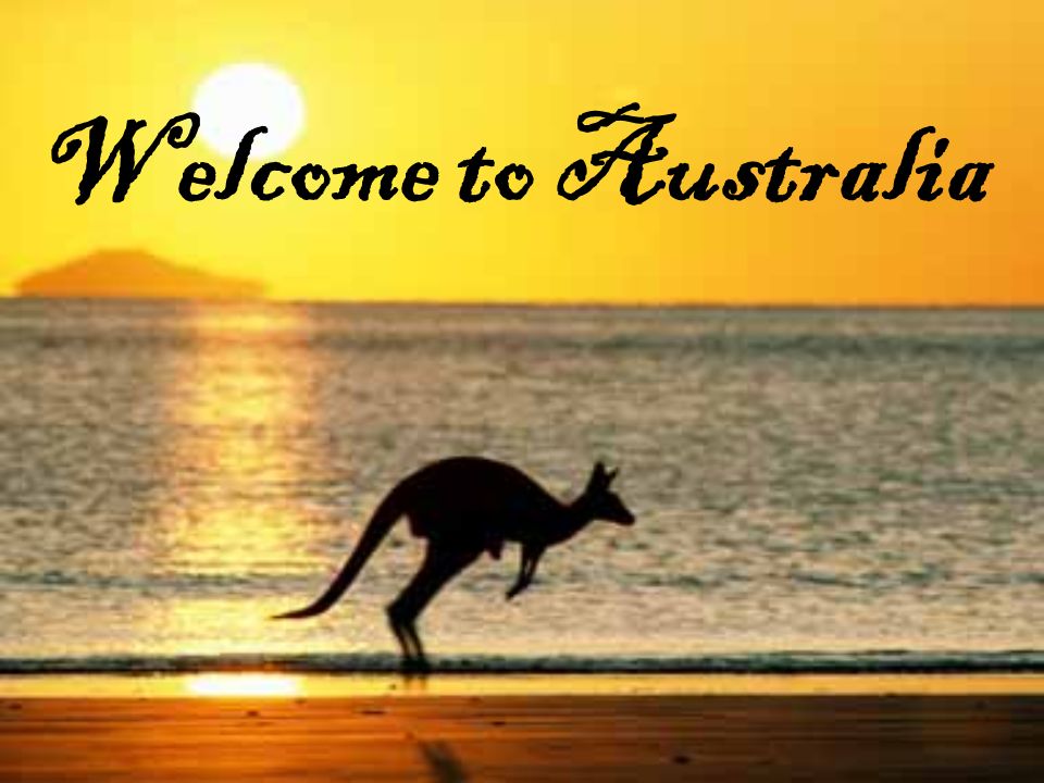 nyhed killing amplifikation Welcome to Australia. - ppt video online download